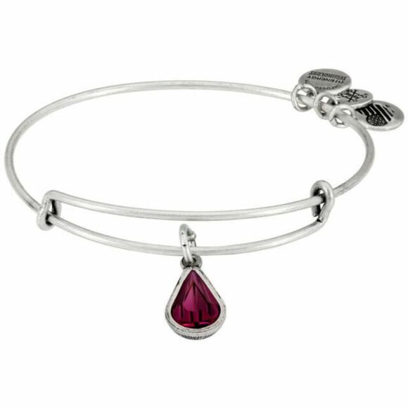 Alex and Ani Amethyst Swarovski Silver Bracelet - Picture 3 of 3